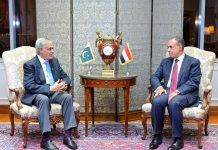 قاہرہ (ٹی این ایس) اسحاق ڈار اور مصری وزیر خارجہ کی غزہ بحران پر گفتگو، فوری جنگ بندی کا مطالبہ