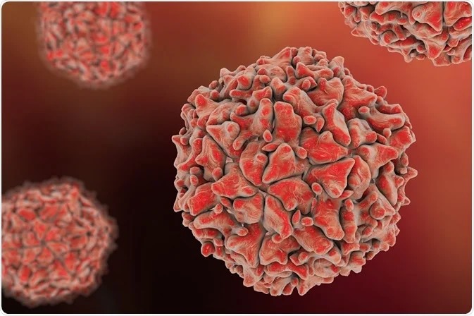 WhatsApp Image 2024-12-27 at 6.25.06 PM