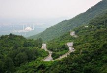 اسلام آباد (ٹی این ایس) تباہی نہیں دیکھ سکتے، یہ نہ ہو مارگلہ ہلز نیشنل پارک کو مکمل بند کرنے کی ہدایت کردیں، قائمہ کمیٹی