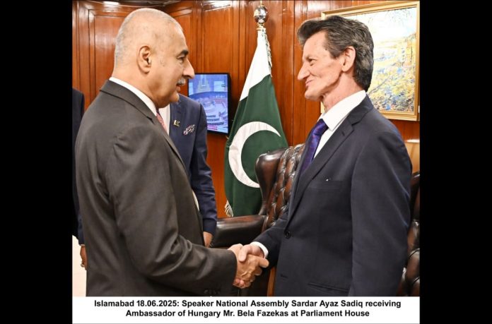 WhatsApp Image 2025-06-19 at 21.16.56_73d36d5c