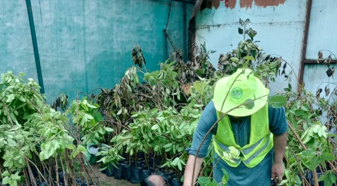 راولپنڈی (ٹی این ایس) پی ایچ اے راولپنڈی کی نرسریز، مختلف اقسام کے پھول پودوں کی فزائش،سرسبز ماحول کے فروغ میں معاون