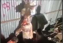 راولپنڈی (ٹی این ایس) اسلام اباد راولپنڈی اور کے پی کے کے بعد اب کراچی میں گدھے کا گوشت عوام کو کھلایا جا رہا ہے