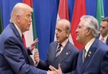 اسلام آباد (ٹی این ایس) وزیر اعظم پاکستان کا ماحولیاتی تحفظ کے لیے مالی معاونت پر زور