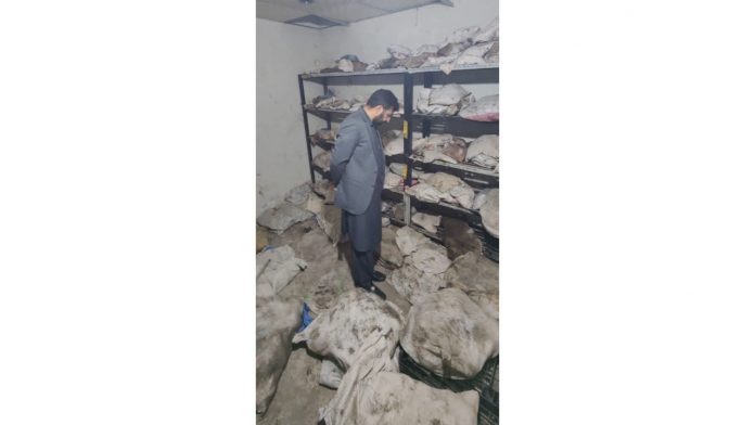 Web_Photo_Editor (17)