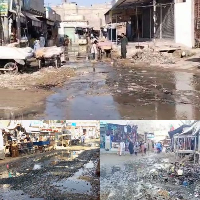 WhatsApp Image 2025-11-21 at 3.53.19 PM