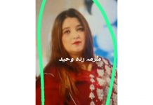 ایبٹ آباد (ٹی این ایس) مقتولہ ڈاکٹر وردہ اور بچوں کی فائل فوٹو اور ملزمہ ردہ بلا کلاتھ کے مالک وحید احمد کی اہلیہ ندا کے پاس مقتول ڈاکٹر وردہ کی جانب سے امانتا” رکھوائے گئے