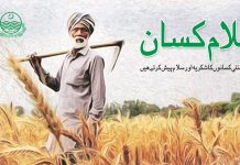 اسلام آباد (ٹی این ایس) کسان پاکستان کی معیشت کا بنیادی ستون….؟