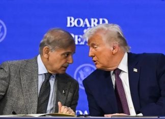 اسلام آباد (ٹی این ایس) کیا ٹرمپ پیس بورڈ کے تحت مسئلہ کشمیر حل ہو گا؟