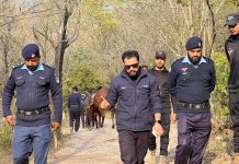 اسلام آباد (ٹی این ایس) ایس ایس پی آپریشنز قاضی علی رضا نے ہائیکنگ ٹریکس کا دورہ کرتے ہوئے سیکیورٹی انتظامات کا جائزہ لیا