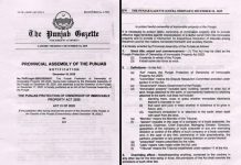 راولپنڈی (ٹی این ایس) پنجاب میں قبضہ مافیا کے خلاف بڑا کریک ڈاؤن