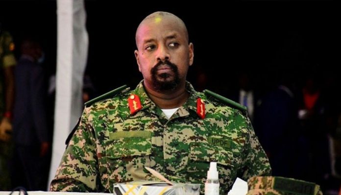 WhatsApp Image 2026-04-14 at 7.11.08 AM