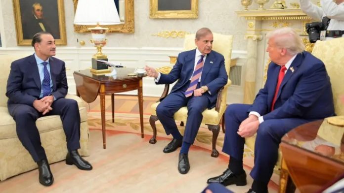 WhatsApp Image 2026-04-15 at 1.11.26 AM (1)