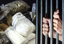 راولپنڈی (ٹی این ایس) ویسٹرج پولیس نے منشیات فروش گرفتار کر لیا 11 کلوگرام چرس برآمد