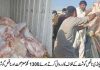 راولپنڈی (ٹی این ایس) پنجاب فوڈ اتھارٹی نے ناقص اور مضر صحت گوشت کی سپلائی کے خلاف کاروائی کرتے ہوئے موٹروے ایکسچینج کے قریب سے دو بولان گاڑیوں سے 1300 کلوگرام مضر گوشت برآمد کر لیا