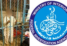 اسلام آباد (ٹی این ایس) ایف آئی اے اینٹی کرپشن سرکل اسلام آباد کی کارروائی — آئیسکو چکوال کا لائن سپرنٹنڈنٹ رشوت لیتے رنگے ہاتھوں گرفتار
