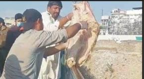 راولپنڈی (ٹی این ایس) پنجاب فوڈ اتھارٹی کی لاپ گوشت اور مضر صحت گوشت پر کروائی کاروائی ککڑ چوک پیر ودائی پر کی گئی