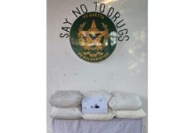 اسلام آباد (ٹی این ایس) اے این ایف کی تعلیمی اداروں کے اطراف اور ملک کے مختلف شہروں میں منشیات اسمگلنگ کے خلاف کارروائیاں