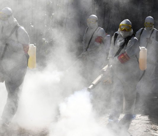 Dengue prevention activities intensified across Punjab