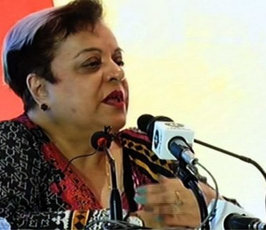 Generation after generation of Kashmiris resisted Indian occupation, brutality: Shireen Mazari
