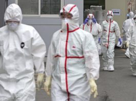 Global coronavirus cases surpass over 11 million