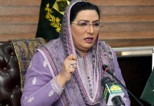 Punjab cabinet gives approval for establishment of five cement plants in province: Firdous