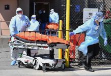 Worldwide coronavirus death toll rises to over 734,000