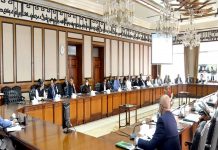 ECC directs to accelerate efforts for wheat imports