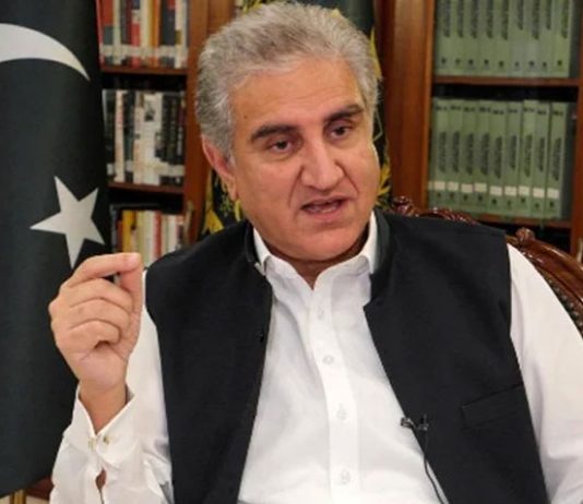 Situation in Occupied Kashmir, Palestine similar to Srebrenica massacre: Qureshi