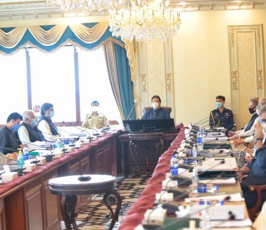 PTI, allied parties’ senators call on PM