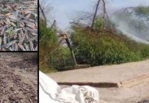 Anti-locust operations completed over 2.614m acres of land