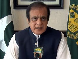 PM’s visit to Afghanistan will prove to be pivotal for promoting bilateral ties: Shibli