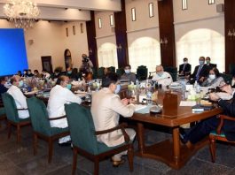 Sindh Cabinet accords approval to new security features number plates for vehicles
