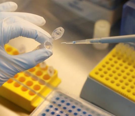 300,616 patients recovered from coronavirus in Pakistan