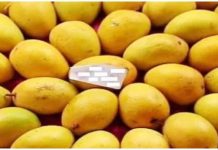 Second Pakistani mango consignment arrives in Kunming, China