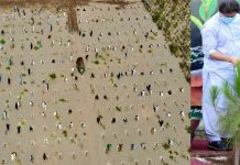 PM thanks people for participating in tree plantation drive