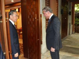 FM Qureshi, Chinese counterpart discuss bilateral relations