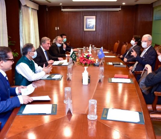 Pakistan seeks effective role of UNGA to end human rights violations in IIOJK: FM