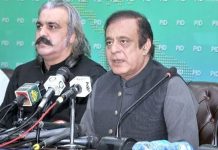 Govt going to give provisional provincial status to GB: Gandapur