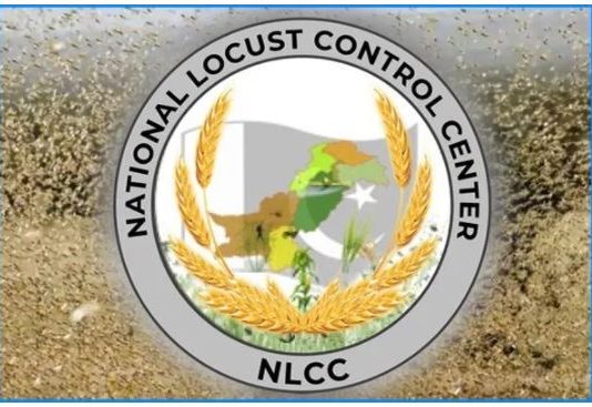 Locust presence not reported in country during last 24 hours: NLCC