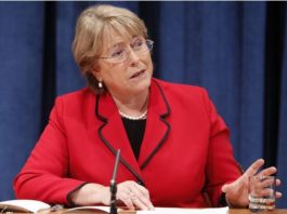 UN Rights Chief dismayed at arrests of activists in India, restrictions on NGOs