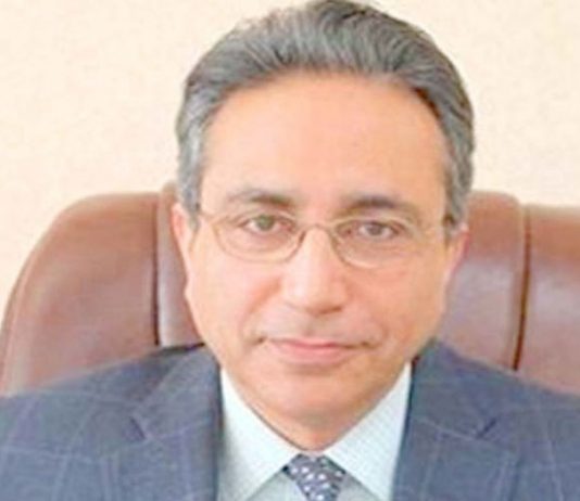 Govt working on long term policy to reform petroleum sector: Nadeem Babar