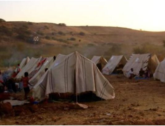 Tigray forces say they ‘completely destroy’ Ethiopia’s 21st mechanised division