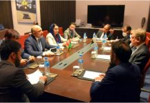 Pakistan desires peace in Afghanistan: FM