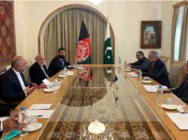 Afghan FM lauds Pakistan’s efforts for Afghan peace process
