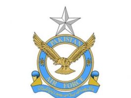 PAF launches motivational song to pay tribute to poet Allama Iqbal