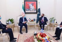 Pakistan, Iran agree to make joint efforts for peace in region