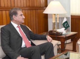 FM Qureshi holds bilateral meeting with Chadian counterpart in Niger