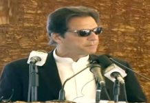 Govt working to give provisional provincial status to GB: PM