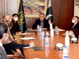 Economic diplomacy is important part of our diplomatic priorities: FM