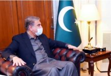 FM invites Japanese investors to invest in Pakistan